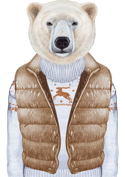 Kanvas Tablo Kahverengi Yelekli Boz Ayı Hayvan Temalı 163 fiyatları