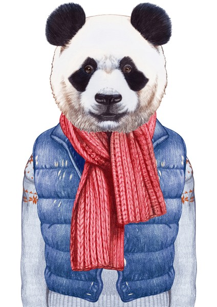 Kanvas Tablo Mavi Yelekli Panda Hayvan Temalı 156 fiyatları