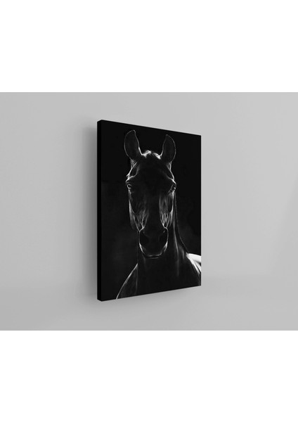 Kanvas Tablo Siyah At Temalı 82 fiyatları
