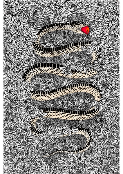 Kanvas Tablo Yılan Tema GRI 1063 fiyatları