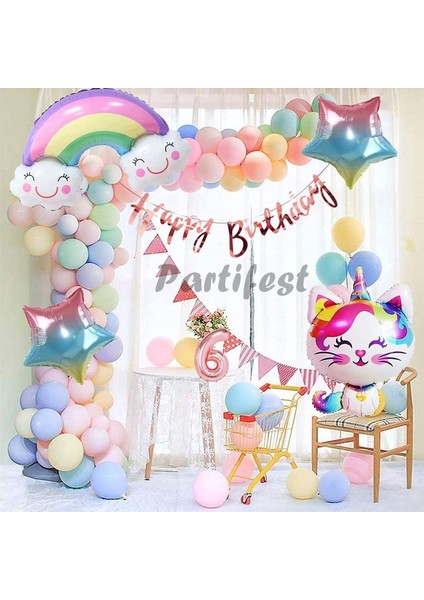 Unicorn Kedi Kitty Rakam Konsept 6 Yaş Balon Doğum Günü Set Yaş Balon Set