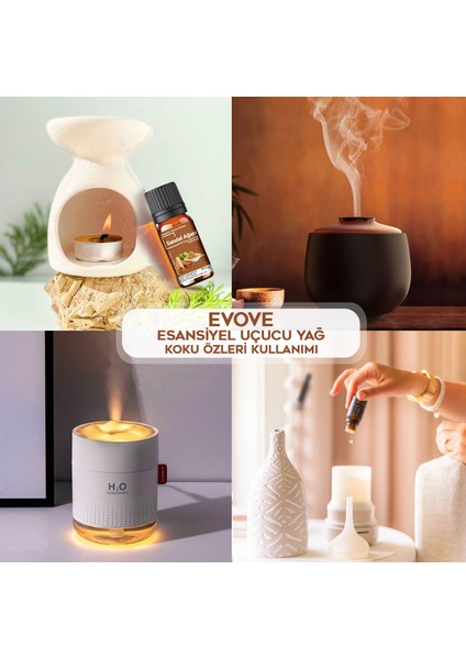 Kavun Çiçeği Esansiyel Yağ Oda Kokusu 3 Adet 10ML Set Aromatik Buhardanlık Difüzör Uçucu Yağ