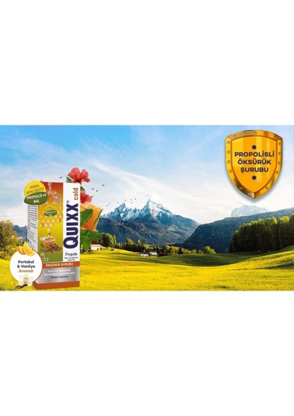 Quıxx Cold Propolis Şurup 100 ml 3 Adet fiyatları