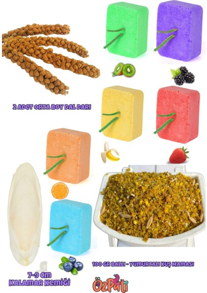 Tüm Kuşlar Için Yem ve Sağlık Seti 10 Parça