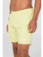 Jesse Swım Shorts Erkek Deniz Şortu 950058-2211DAUQUIRI 1