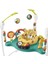 HND47 Fisher-Price Sevimli Leopar Jumperoo 2