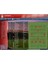 FOOTBALL MANAGER 2011 - Steam PC/MAC Oyun 3
