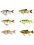 3D Roach Shine Glider 13,5 cm 29 gr Suni Yem Balıkmarketim 1