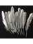 10 Adet Metalik Parlak Gümüş Kuş Tüyü Gümüş Kuş Tüyü Decor Silver Bırd Feather Gümüş Şeffaf Balon Tüyü 1