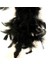 100 Adet Siyah Kuş Tüyü Black Bırd Feather Siyah Şeffaf Balon Tüyü Dekoratik Siyah Süsleme Tüyü 1