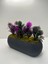 Uzun Gri Saksıda Yapay Çiçek Iğneli Çam Demeti Dekoratif Mutfak Banyo Masa Çiçeği 21X9X7 cm 4
