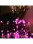 4.30 Metre Pembe Top LED Işık Pembe Işık 220 V Fişli Yılbaşı Ağacı Işığı Pembe Top Işık Pembe LED Işık Noel Işığı 2