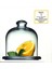Basic Cam Limon Saklama Kabı Kapaklı Fma05156 1