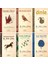M. Fatih Çıtlak 6 Kitap Set 1