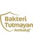 Pure Bebek Bezi 1 Beden 2-5 kg 160 Adet 2 Adet Islak Mendil 3