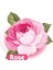 Islak Havlu Mendil 90 Yaprak Gül/rose 24 Lü Set 2160 Yaprak Plastik Kapaklı 3