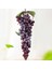 2 Demet 110 Mor Üzüm Simülasyon Meyve Çekimi Sahne (Yurt Dışından) 1