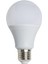12W Beyaz LED Ampul Ct 4266 1