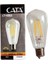 CT-4353 8 W Uzun Flament Rustik LED Ampul 2