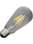 CT-4353 8 W Uzun Flament Rustik LED Ampul 3