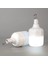Şarjlı Ampul 30W Beyaz Ct 4279 1