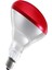 Ledvance 250W Infrared Ampul BR40 E27 Isıtıcılı Lamba Kırmızı Işık 1