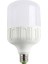 Ct 4263 Torch LED Ampul 10+Lu Ct 4263 1