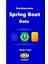 Derinlemesine Spring Boot Data 2