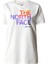 W FOUNDATION GRAPHIC TEE - EU Kadın T-Shirt NF0A55B2Q4C1 1