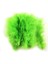 100 Adet Yeşil Kuş Tüyü Decor Green Bırd Feather Yeşil Şeffaf Balon Tüyü Dekoratik Yeşil Süsleme Tüyü 1