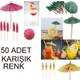 Seçili Renk Renkli