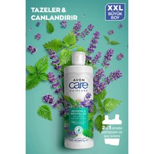 Avon Care Isırgan Otu ve Lavanta Özleri Içeren Şampuan ve Saç Kremi 700 Ml.