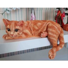 Sunseaart Uzanan Kedi Biblo
