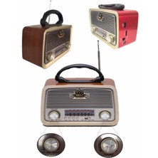 Ferminex RT-301B Nostalji Radyo Bluetooth+Fm Radyo+Usb+Sd+Mp3+Aux Kart Geliştirilmiş