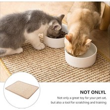 Three Beans Sisal Yastık Anti-Scratch Kanepe Çizilmeye Karşı Korur Ve Kedi Malzemeleri Düşmez (Yurt Dışından)