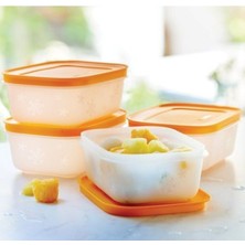 Tupperware Alaska Turuncu Set 4'l