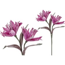 Es Dekor Lmdr Latin Çiçeği Koyu Mor 96CM Kıvrılabilir Dekoratif Yapay Çiçek (1 Dal)