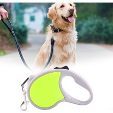 Doya Slip Anti-Slip Sap, Güçlü Naylon Bant, Tangle_free, Tek Elle Bir Düğme Kilidi ve Sürümü ile Geri Çekilebilir Köpek Tasması 10FT Pet Yürüyüş Tasması, (Yurt Dışından)