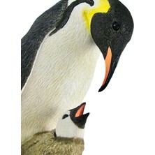 Rakun Home Kral Penguen Biblosu