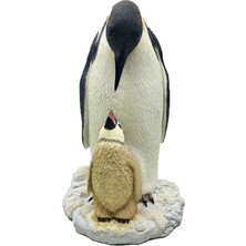 Rakun Home Kral Penguen Biblosu