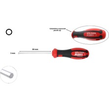 Ceta Form 3 mm Allen Uçlu Tornavida F22-030-080
