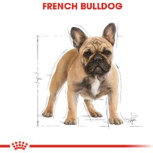 Royal Canin French Bulldog Adult Yetişkin Köpek Maması 3 kg