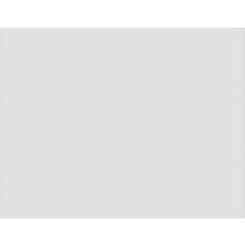 Dyo Dinamik 7550 Yeni Çağıl 2,5 Lt