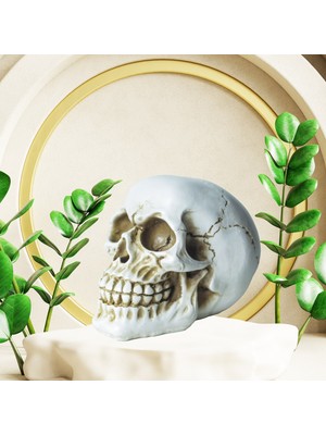 Minazey Inspire Skull Beyaz Biblo Dekoratif Aksesuar