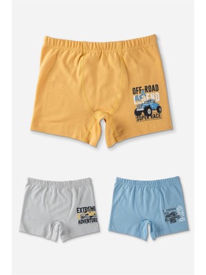 Baykar Erkek Çocuk Pamuklu Baskılı Rahat Kesim Likralı Boxer 3'lü Paket 3374 Renkli