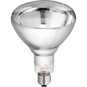 General Electric 250 Watt Şeffaf Cam Infrared Isıtıcı Ampul Lamba