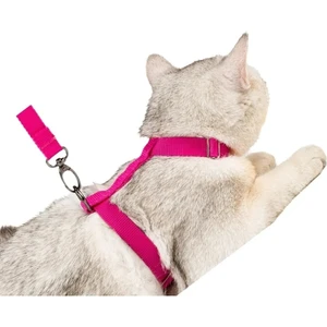 Bug Store Ayarlanabilir Kedi Tasması 120 cm