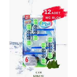 AirGut 3'lü Paket WC Blok, Tuvalet Koku Giderici 12 Adet Çam Kokusu Bloğu (Mavi su verir)