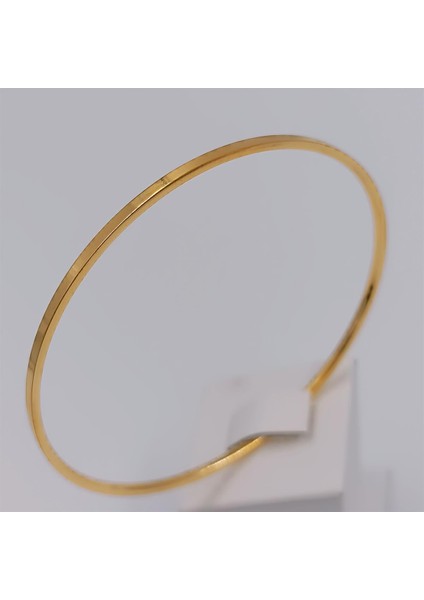 Çelik Gold Ajda Bilezik Çapı 6,3 cm cm Bilezik