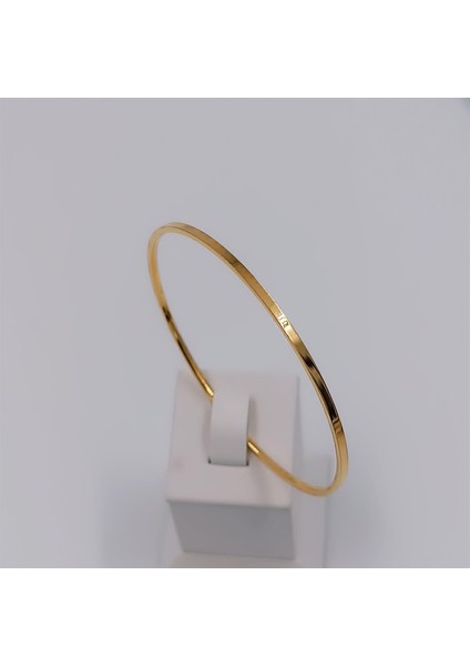 Çelik Gold Ajda Bilezik Çapı 6,3 cm cm Bilezik